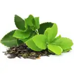 Green Herbal Tea
